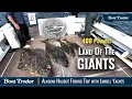 GIANT Alaskan Halibut Epic Fishing On Lindell 46 at Montague Island