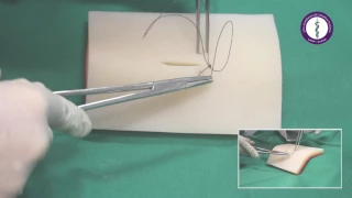 Sutura Continua Simples (Kurschner)
