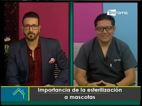 Importancia de las esterilización a mascotas