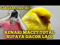 Download Lagu Cara mengatasi kenari macet bunyi supaya gacor lagi !