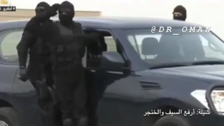 شيلة ارفع السيف والخنجر 