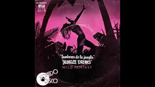 Download Wild Fantasy ~ 1978 ~ Jungle Drums MP3