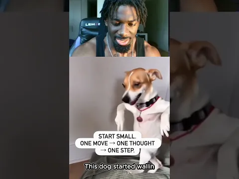This dog started wallin