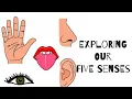 Exploring Our 5 Senses