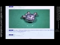 Reddit Compilation Top 50 as of May 2017 - 2nd Edition