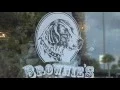 Brownies Dog Boutique