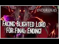 Hunting The Last Stone Tablet Fragment For True Ending Ender Lilies Finale