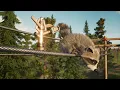 Real Time Animation Unity for Look Development