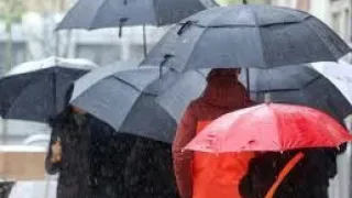 المطر المطر الحان ديانا غنطوس توزيع وعزف د سليم حنا 