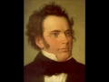 Franz Schubert La muerte y la doncella - 1 Allegro