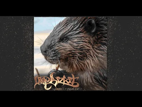 Download MP3 Limp Bizkit - Smelly Beaver [FULL ALBUM]