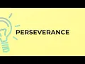 What is the meaning of the word PERSEVERANCE
