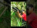 Download Lagu Menembak berburu burung hutan hijau