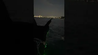 Heading home from work .. #fyp #dream #youtube #doberman #pets