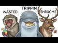 Every Animal That Loves Being HIGH Explained