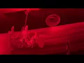 Download Lagu Gasanov dj-set Сияние