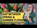 Download Lagu Sow THIS Flower To Fill The Spring/Summer Gap 🌱