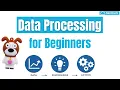 Learn Data Processing Concepts for Beginners Become a Data Nerd