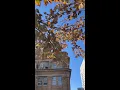 Fall campus vibes loading soon