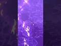 Download Lagu Tere Hawale Lofi Slowed reverb #shorts #hindi #lofi #arijitsingh #love #viral
