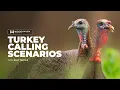 Turkey Calling Scenarios with Billy Yargus What to Say When