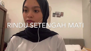 rindu setengah mati d masiv covered by wani annuar 