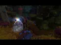 Grand Hunt - WoW Dragonflight