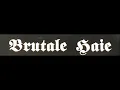 Download Lagu Brutale Haie - Live in Tangerhütte 1993 [Incomplete Concert]