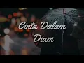 Download Lagu CINTA DALAM DIAM - STORY WA HANAN ATTAKI