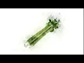 Celery animated illustration