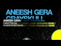 Aneesh Gera - Grayskull (MaxRevenge Remix)