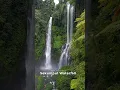 Download Lagu Why Sekumpul Waterfall is the MOST BEAUTIFUL Waterfall in Bali