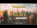 Download Lagu Habibi Sulululu new tur tone Dj Jatin desi king Bhavin vasava