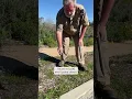 How To Fix A Gopher Problem