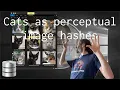 Use Perceptual Image Hash as Database Primary Key for Cats