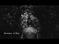 Kermesse - Le Fleur