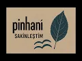Pinhani - Sakinleştim (Yapay Zeka Cover)