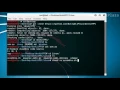Wii U Assembling PowerPC Assembly on Linux