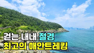 여기를 이제야 알았다니! 👍 부산 여행가면 꼭 가봐야 할 곳! 걷는 내내 절경이 이어지는 최고의 해안트레킹 해파랑길 🚶‍♂️ 국내여행 korea trip 썸네일