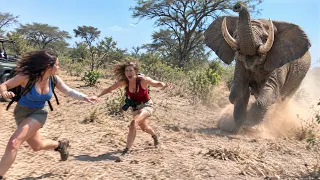 This Isn't Staged! Safari Trips Went Horribly Wrong