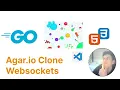 Agario Clone Go HTML