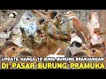 Lagu UPDATE HARGA JENIS BURUNG KICAU BRANJANGAN POPULER DI INDONESIA ( LENGKAP )