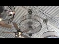 Patriot Lighting ceiling fan at Menards