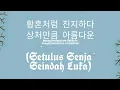 Download Lagu Setulus Senja Seindah Luka