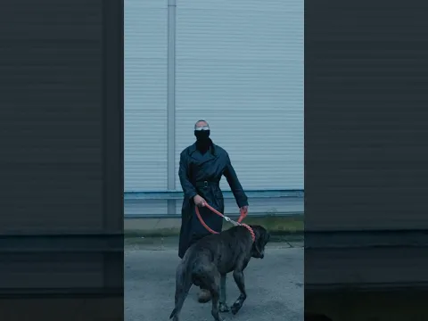 chaos