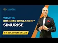 What is Business Simulation SimuRise