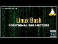 What are Positional Parameters in Bash Introduction