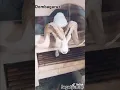 Download Lagu Sang lagend Domba garut Aril jagat junior#dombagarut#trending#shorts #animals#viralvideos #subscribe