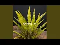 Download Lagu Maerthaugior Vinewhisper