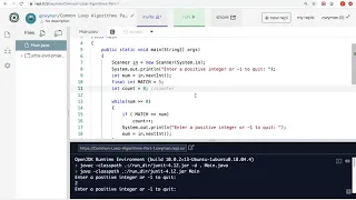 Common Loop Algorithms part 2